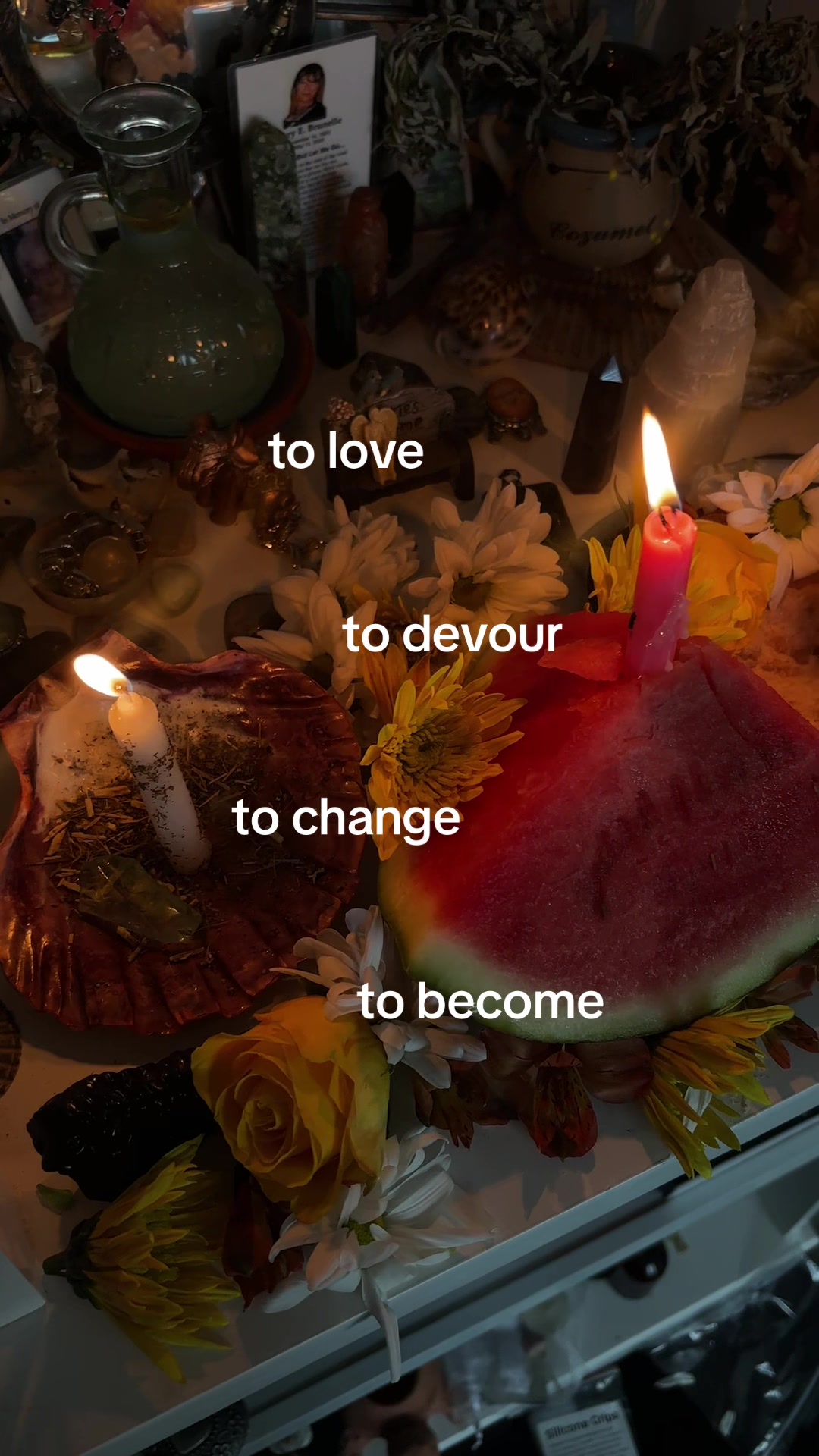 @𝑻𝒉𝒆 𝑫𝒊𝒗𝒊𝒏𝒆 𝑮𝒓𝒐𝒗𝒆