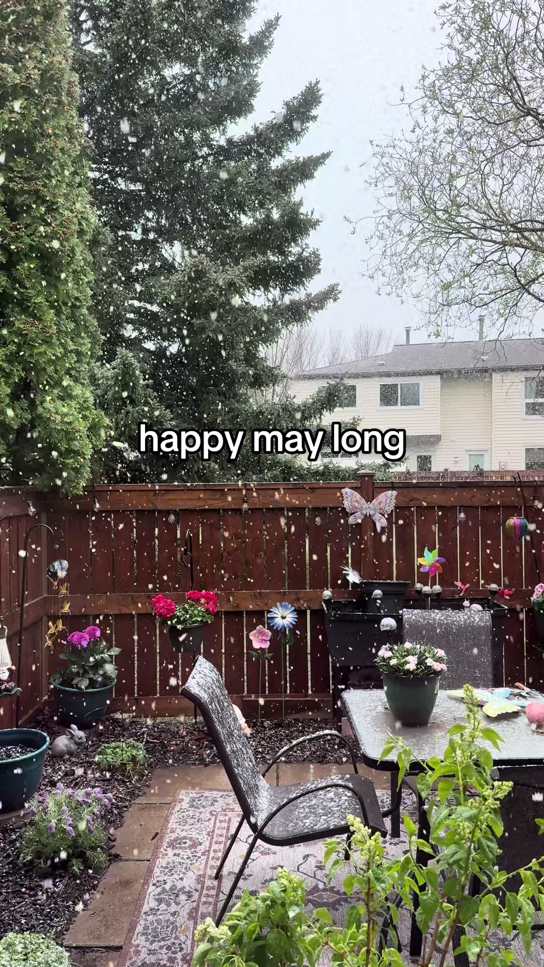 @christine ☻ 🇨🇦 YYC ⸆⸉