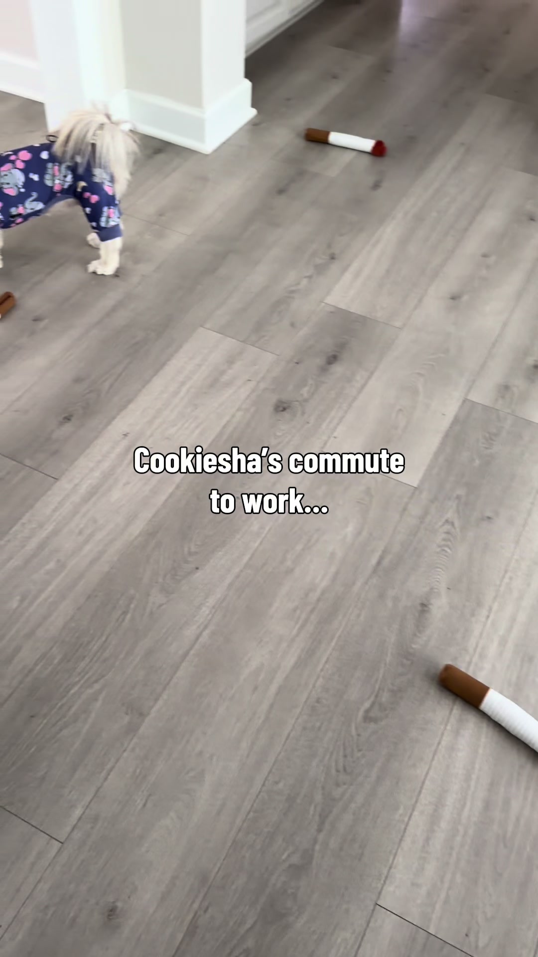 @nitaandcookiesha
