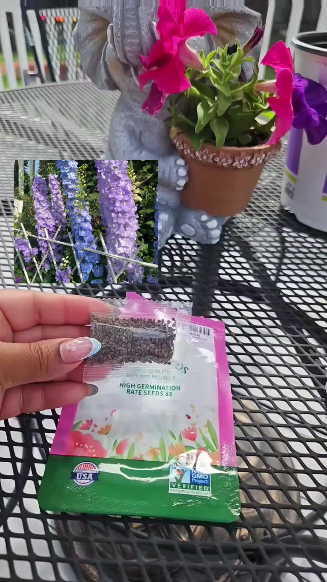@ꪜꪖꪶꫀ𝘳𝓲ꫀ 🎀
