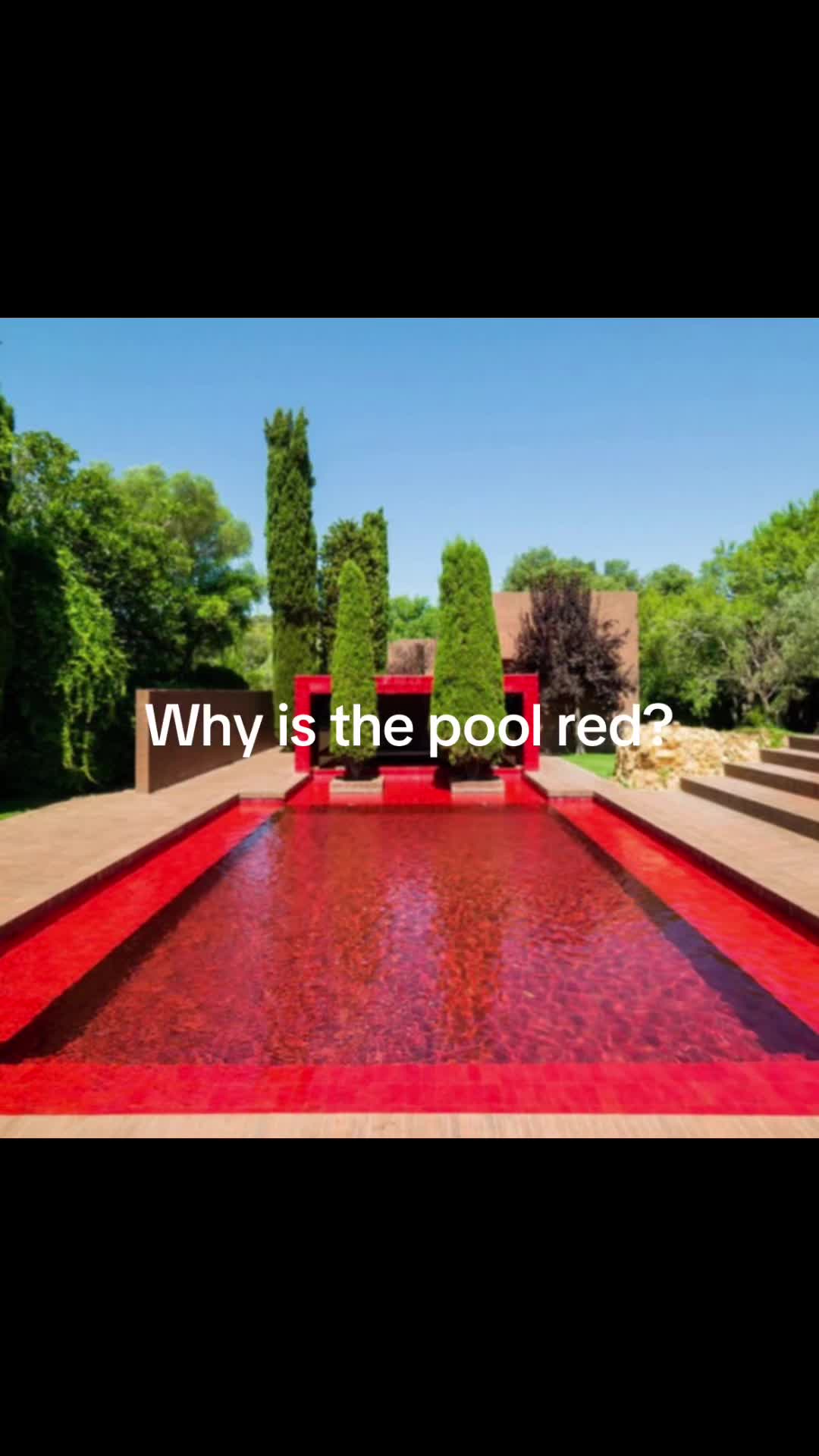 @Just a random guy