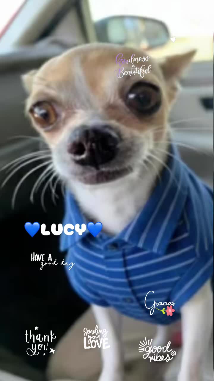 @Lucy