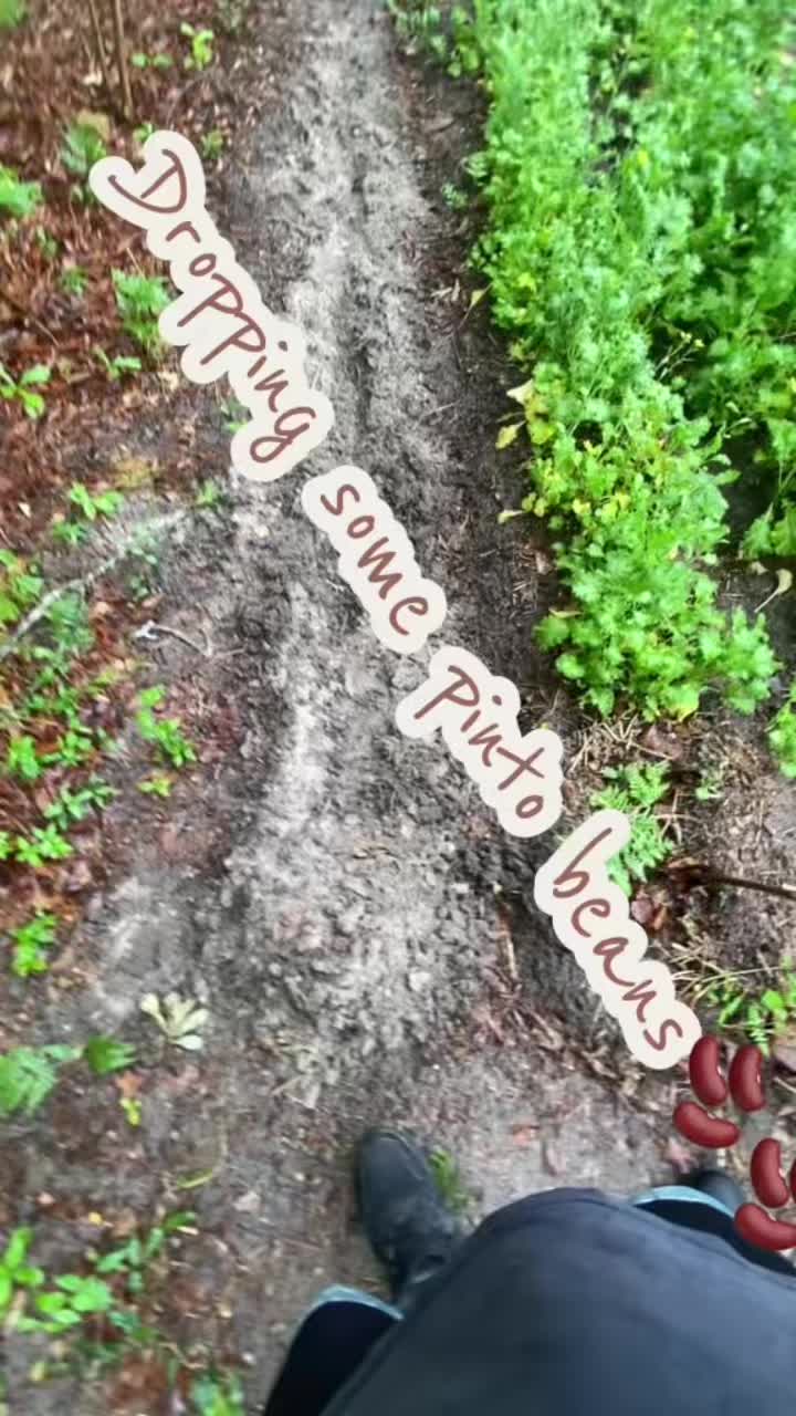 @desjhubbard