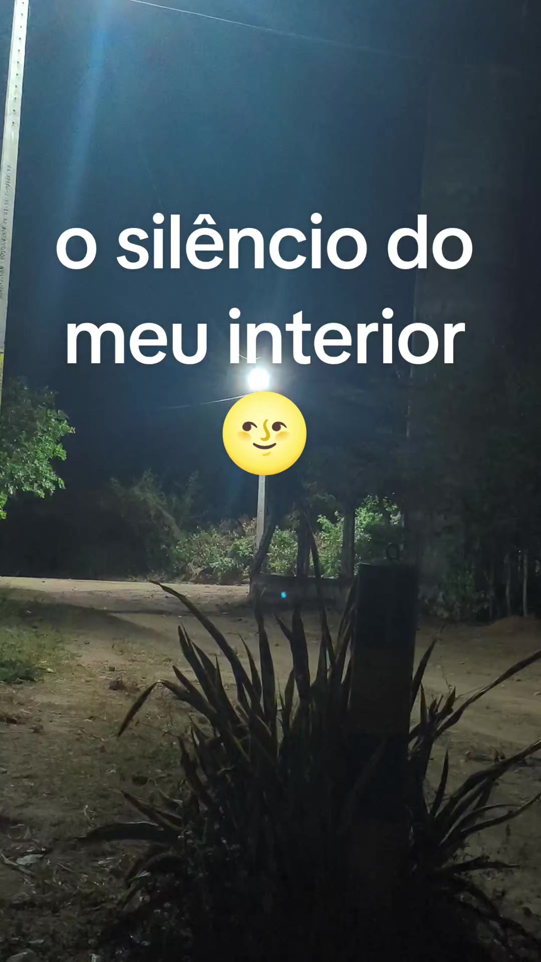 @Viviane Silva