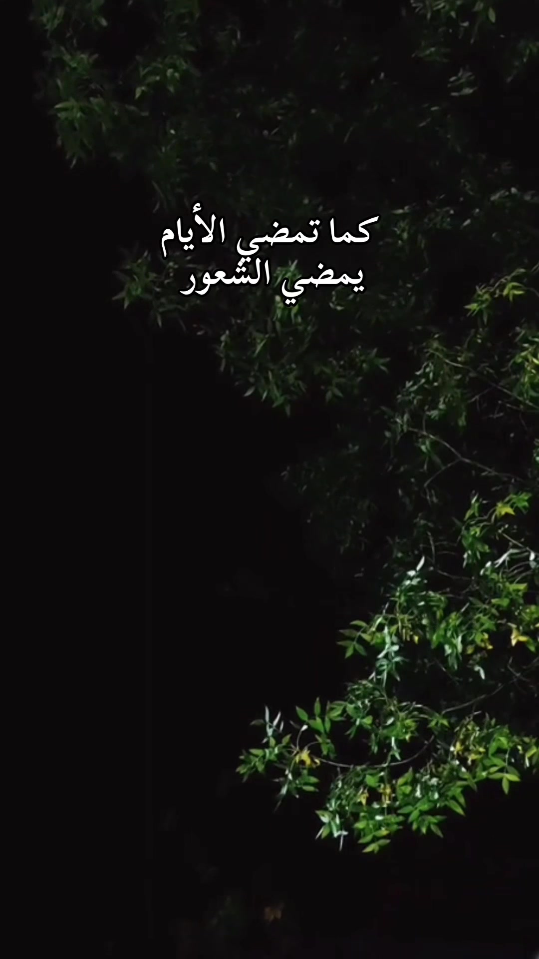 @AL nawawi 🦅