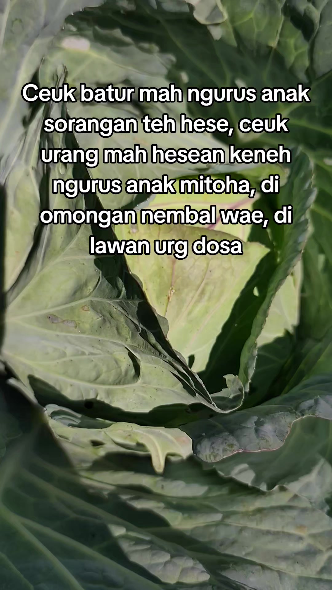 @vvtty