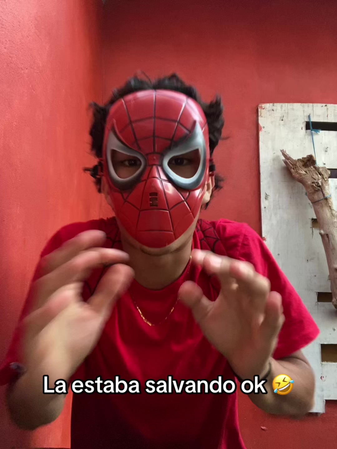 @Papi_Maña 🧩🕷️
