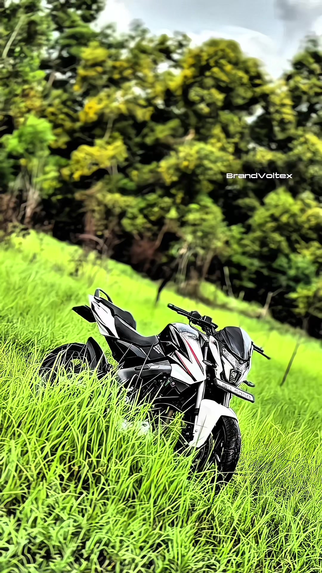 @Brand_VOLTEX