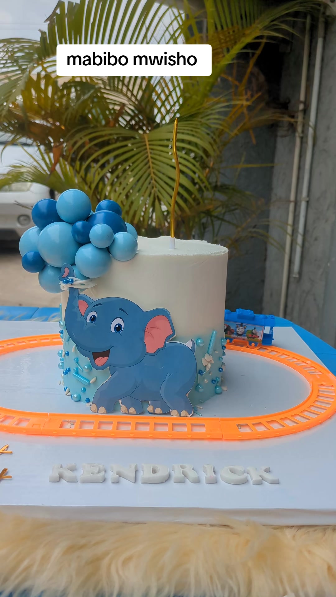 @shamj cakes