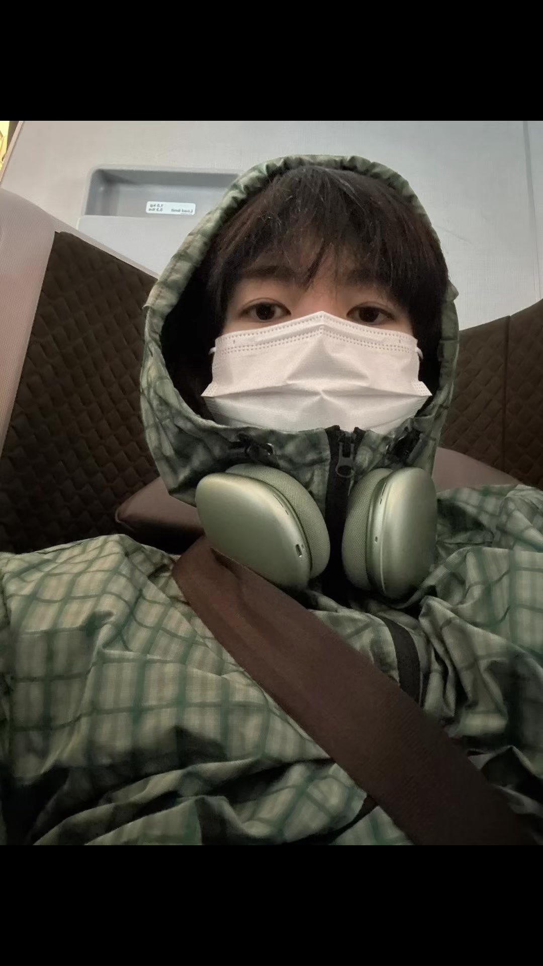 @료잉료잉