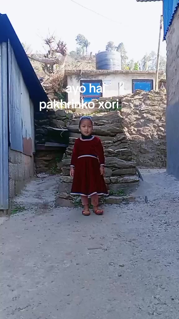 @shantitamang831
