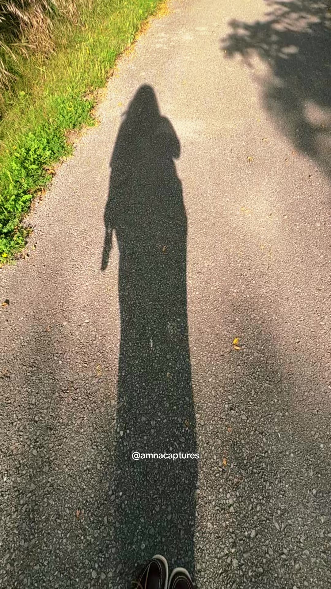 @Nature lover 🇨🇦