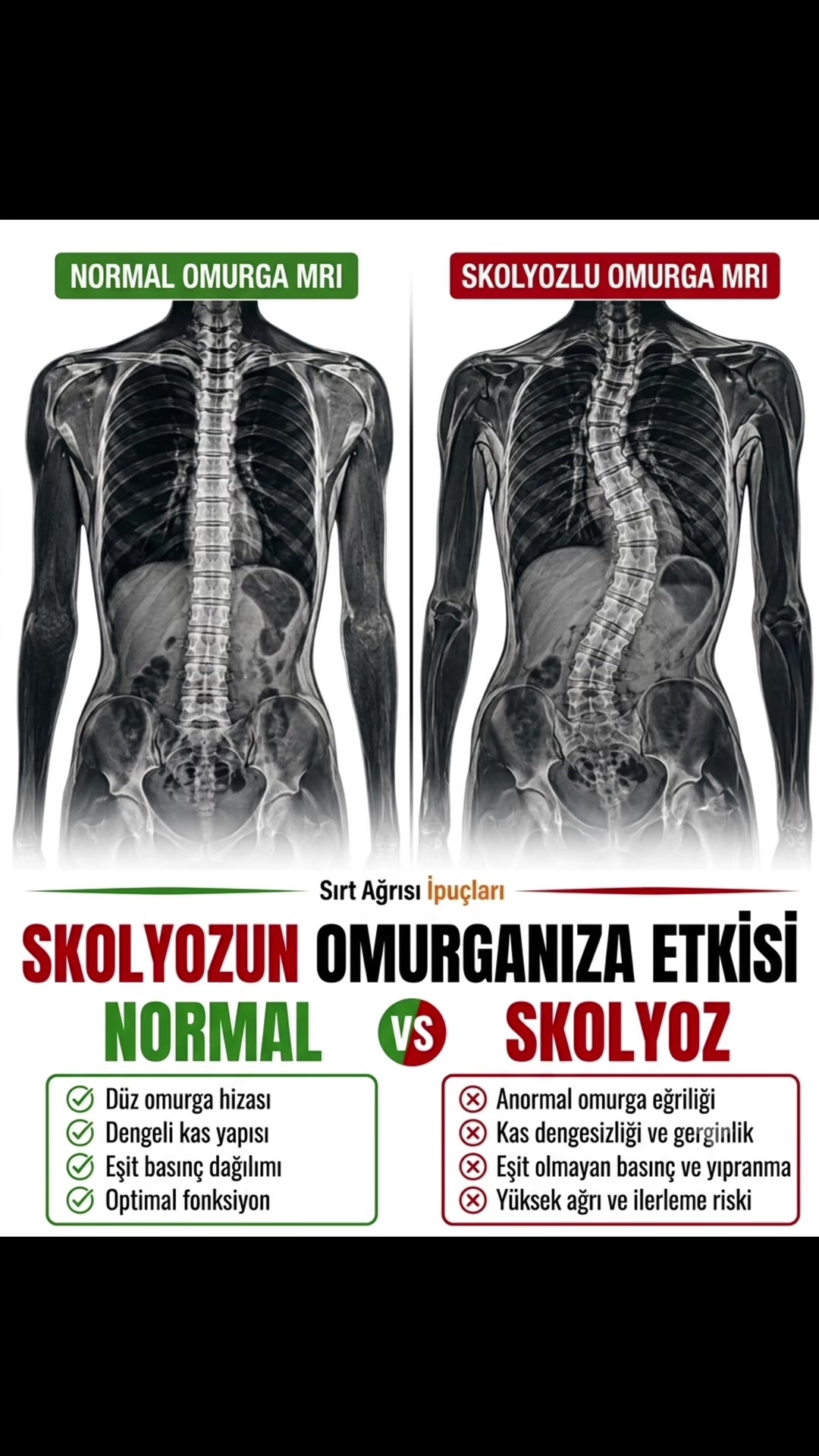 @Dr. Beşir Şahin İnceer