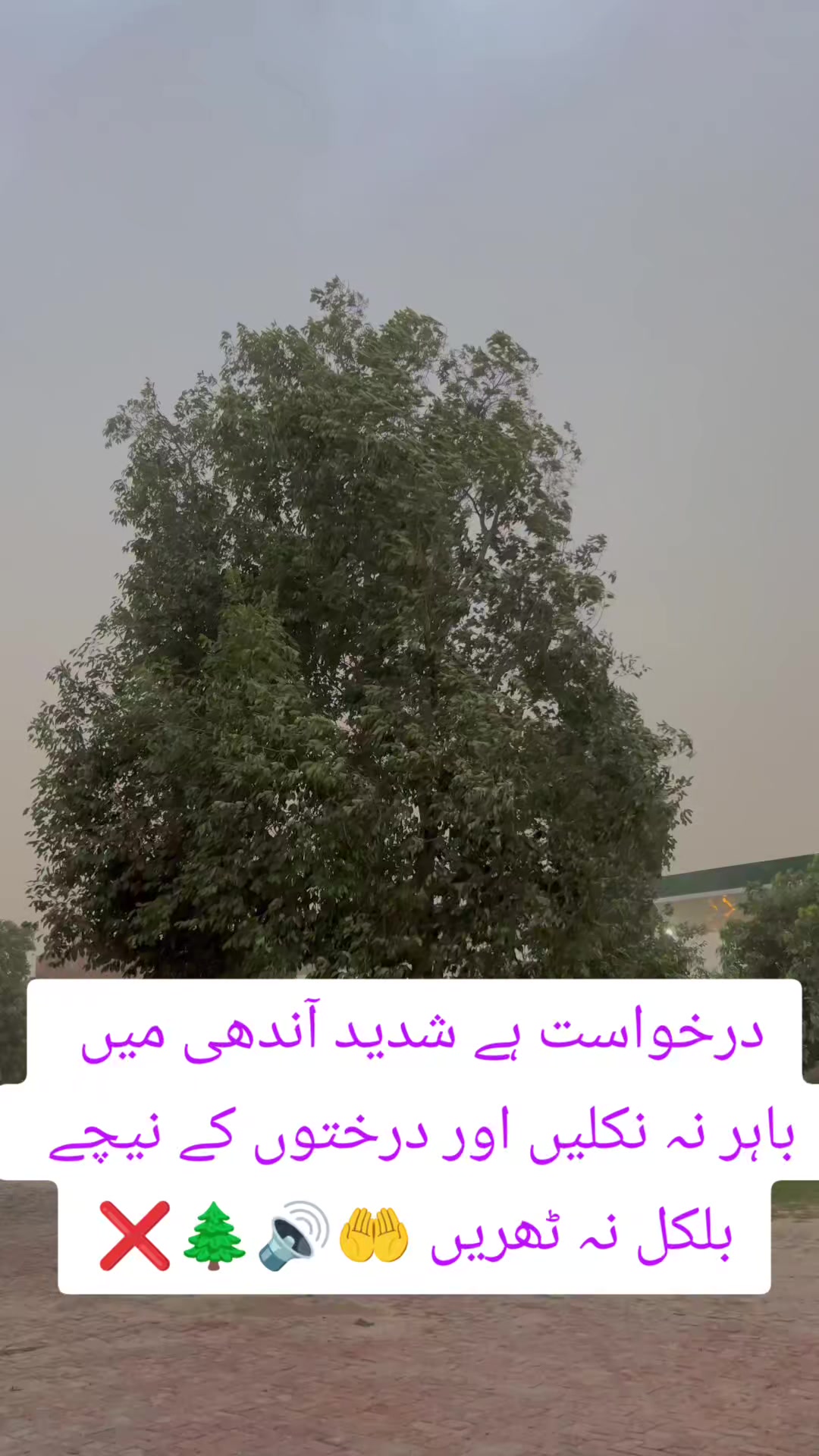 @Shan Rana