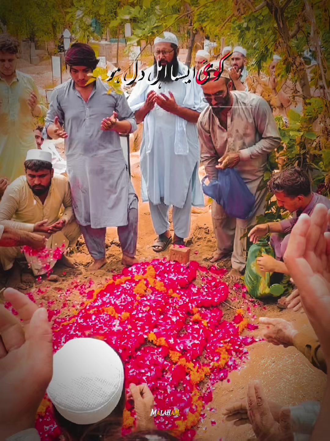 @Nouman Khan