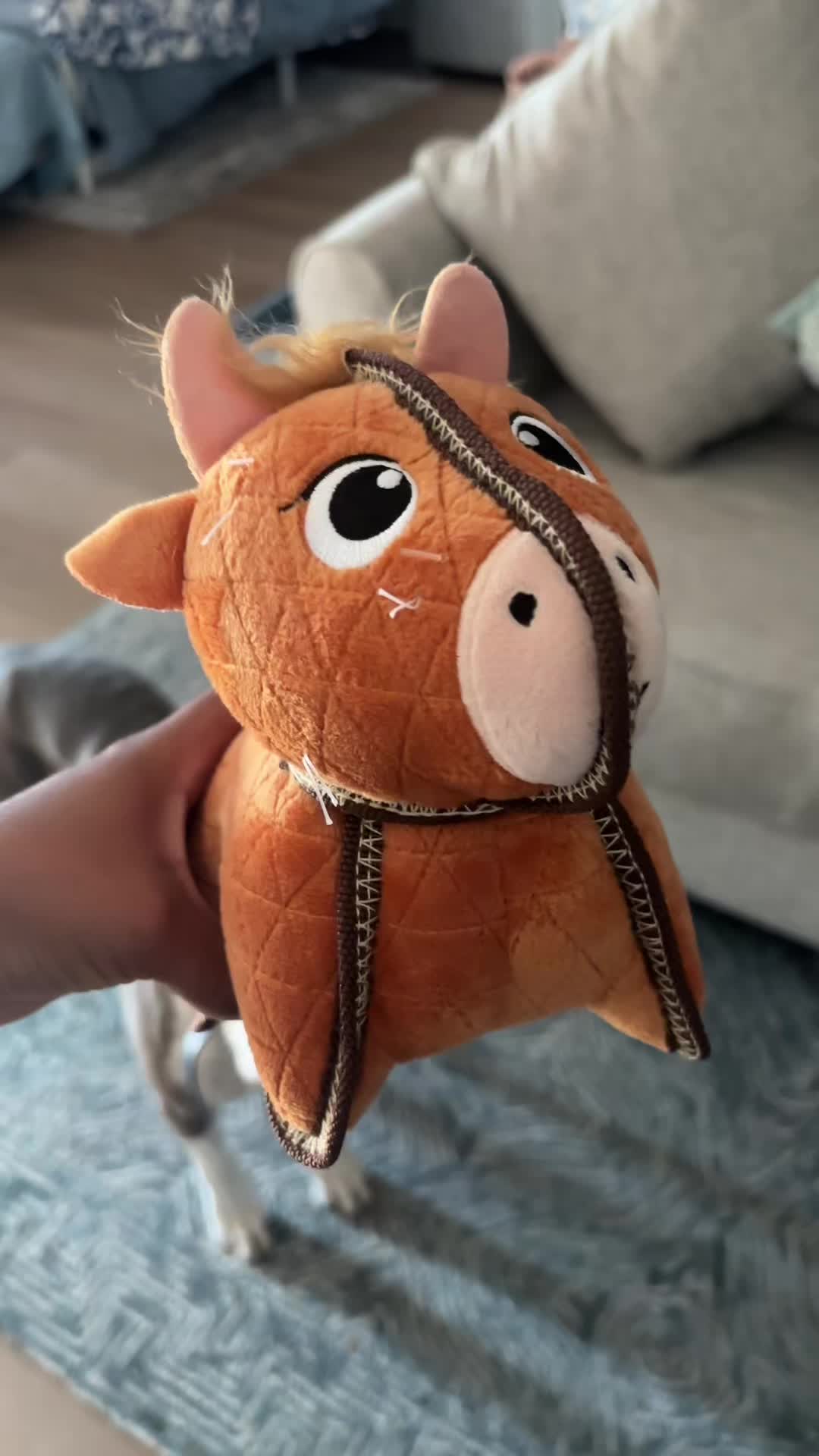 @caponethepitty