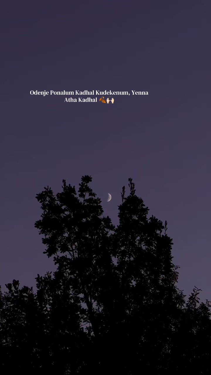 @சிலோஷினி🌙