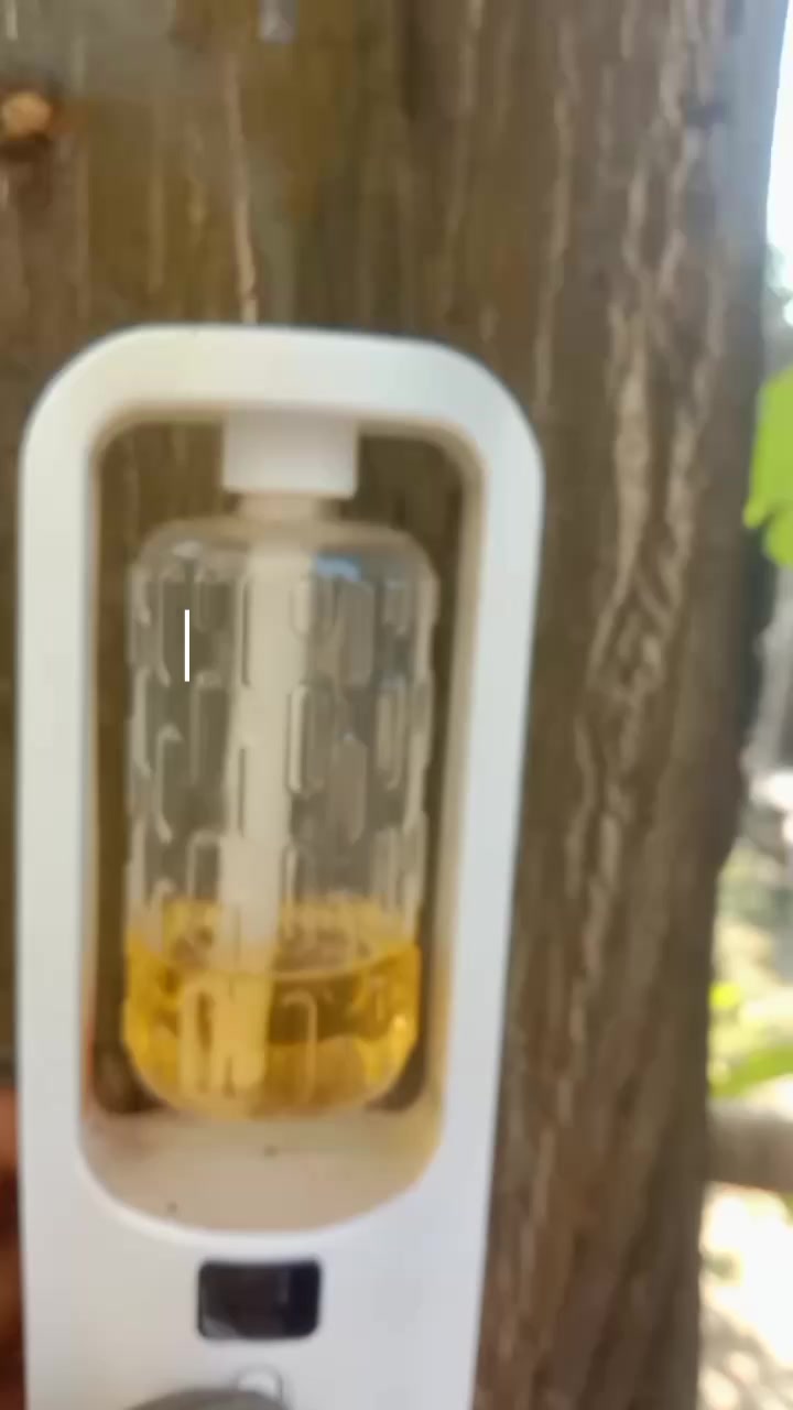 @Jelitaelectroshop