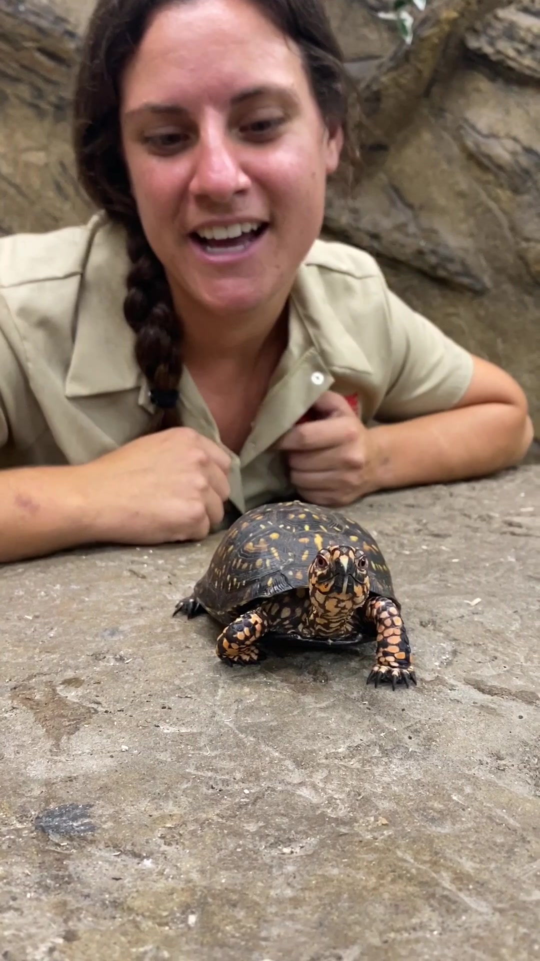 @The Reptile Zoo