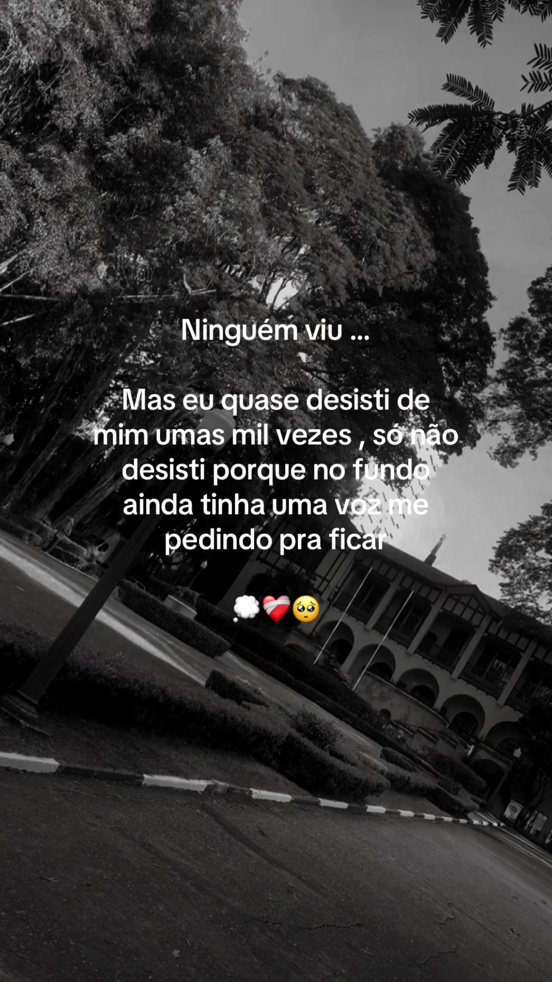 @ecodefrases