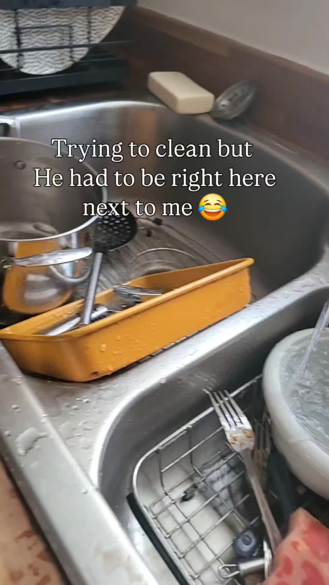 @everydaysteph
