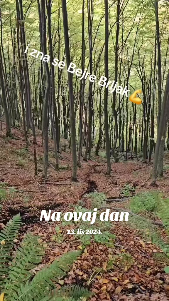 @Bejre