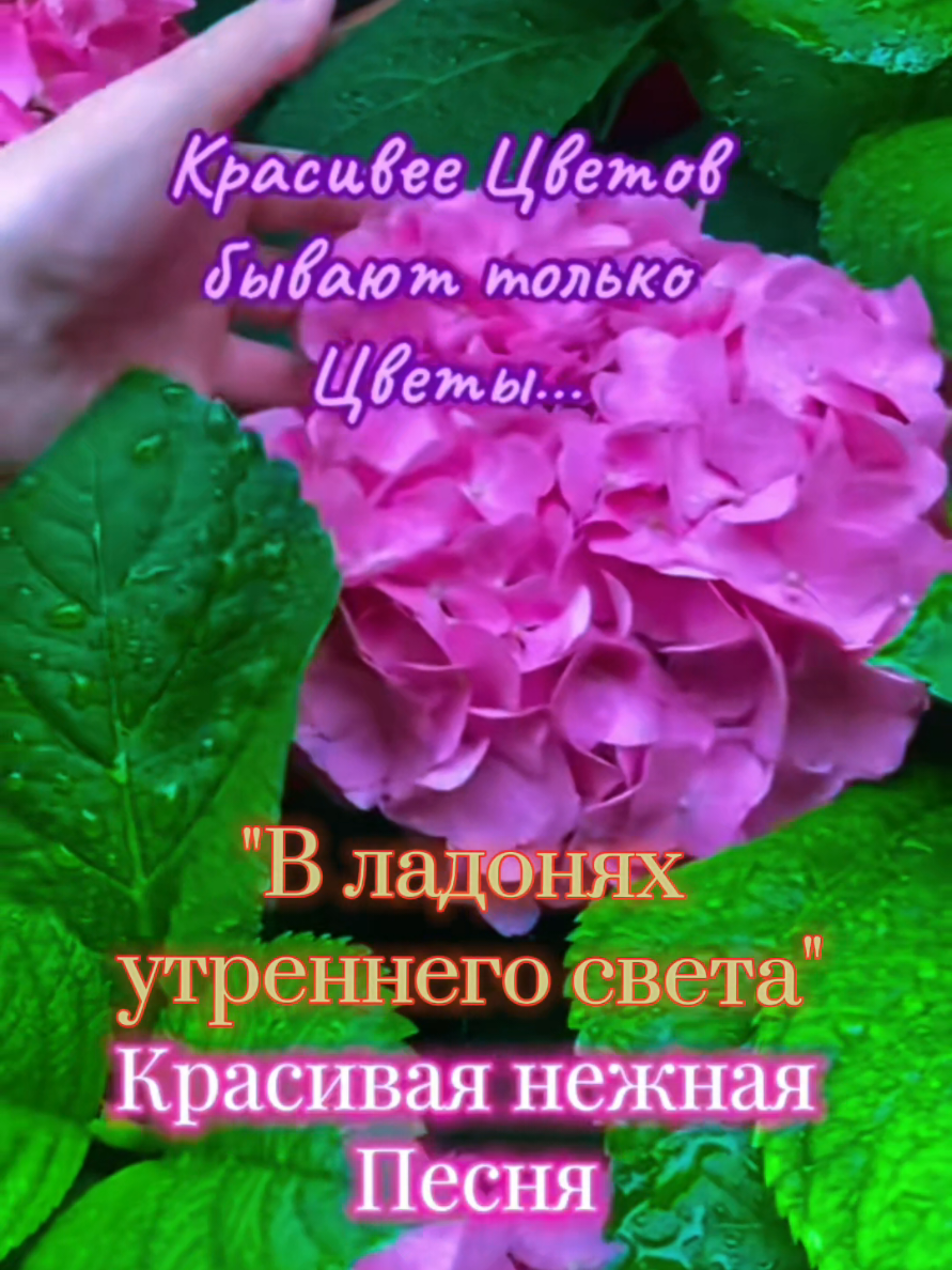 @✨Елена✨