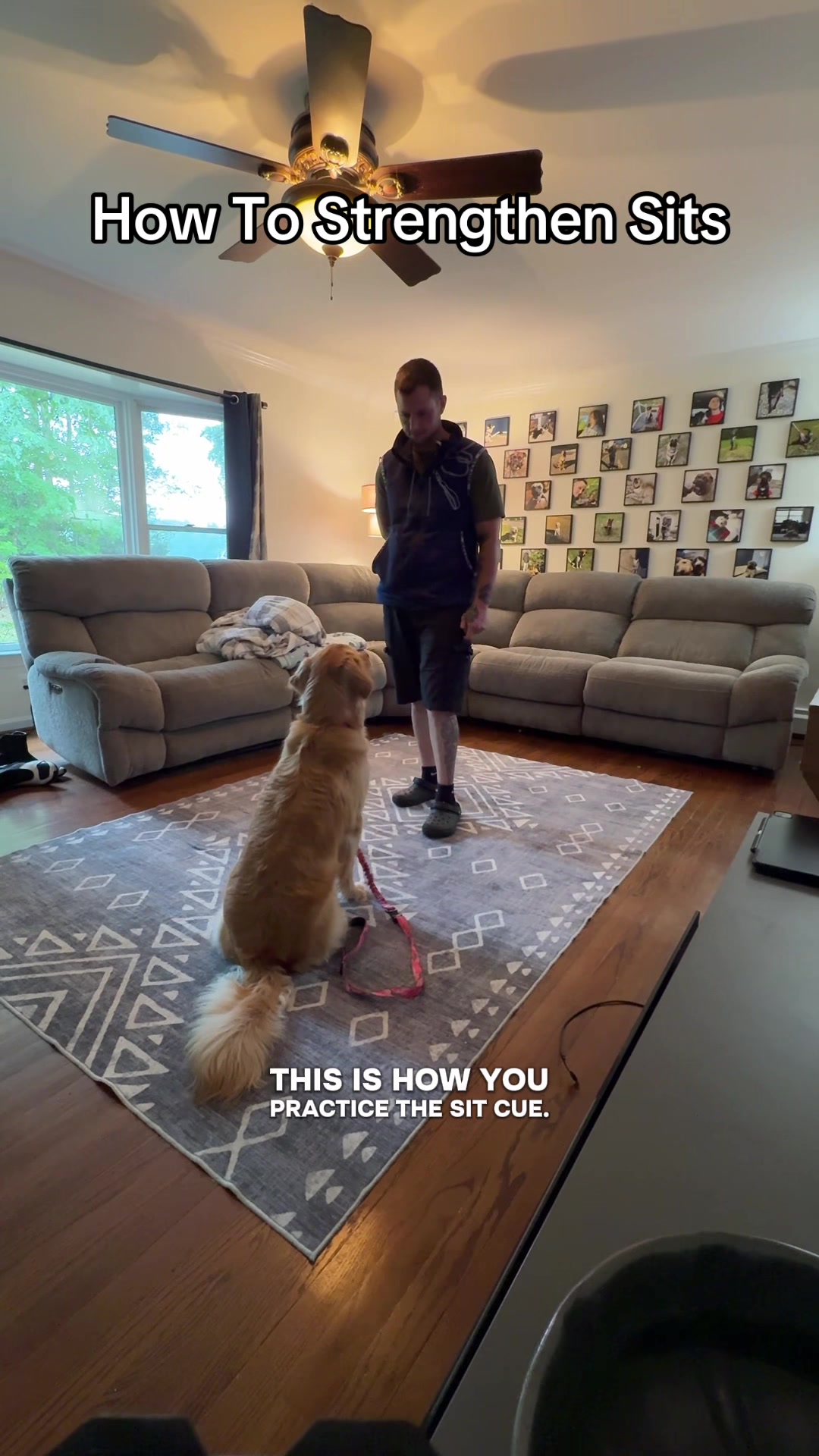 @Best Buddy Dog Trainer LLC