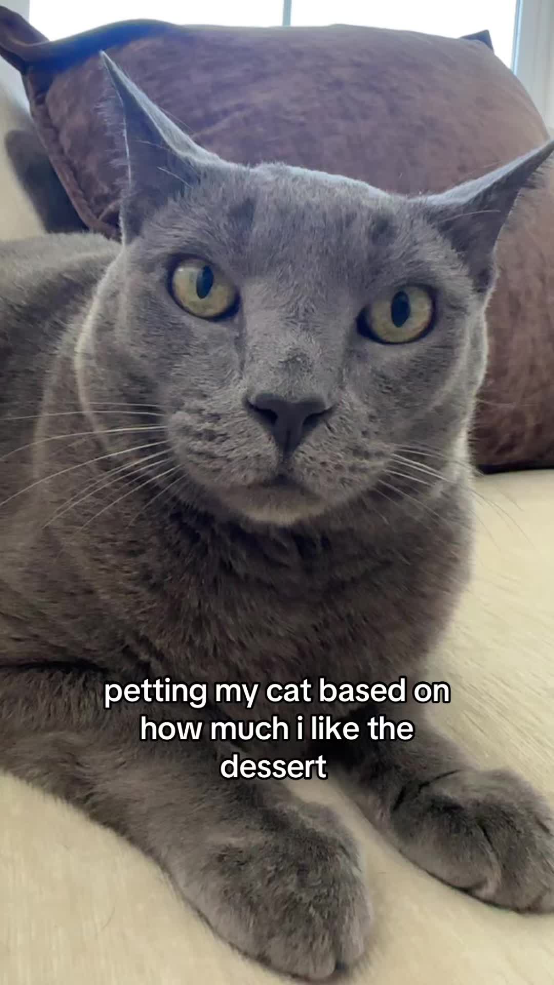 @REYNA