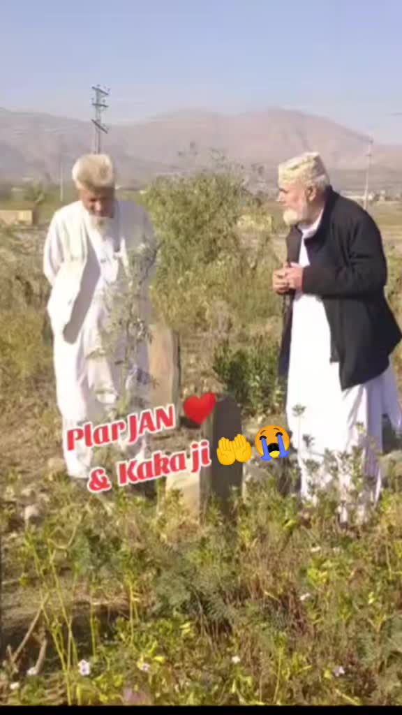 @Malik_zada__102