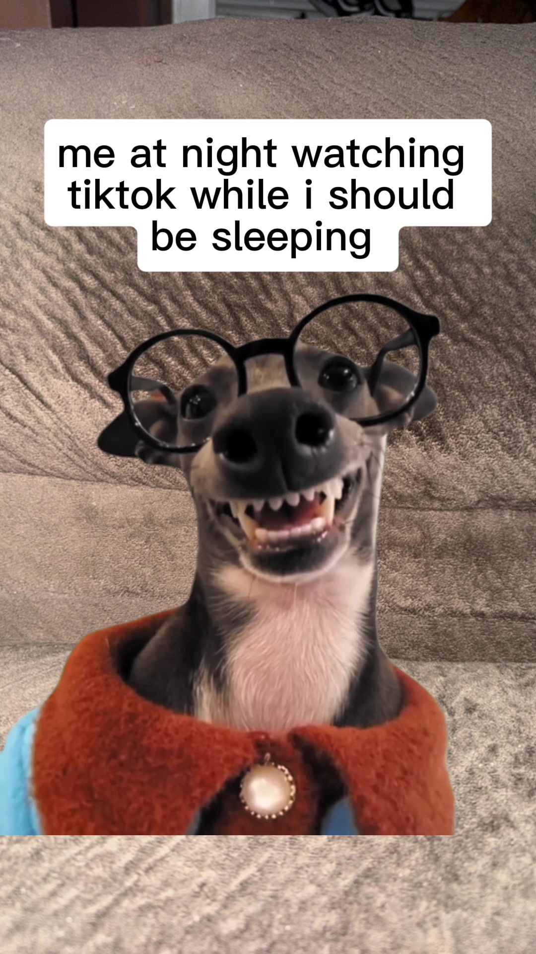 @🫶🏼𝕂𝕚𝕂𝕚🫶🏼