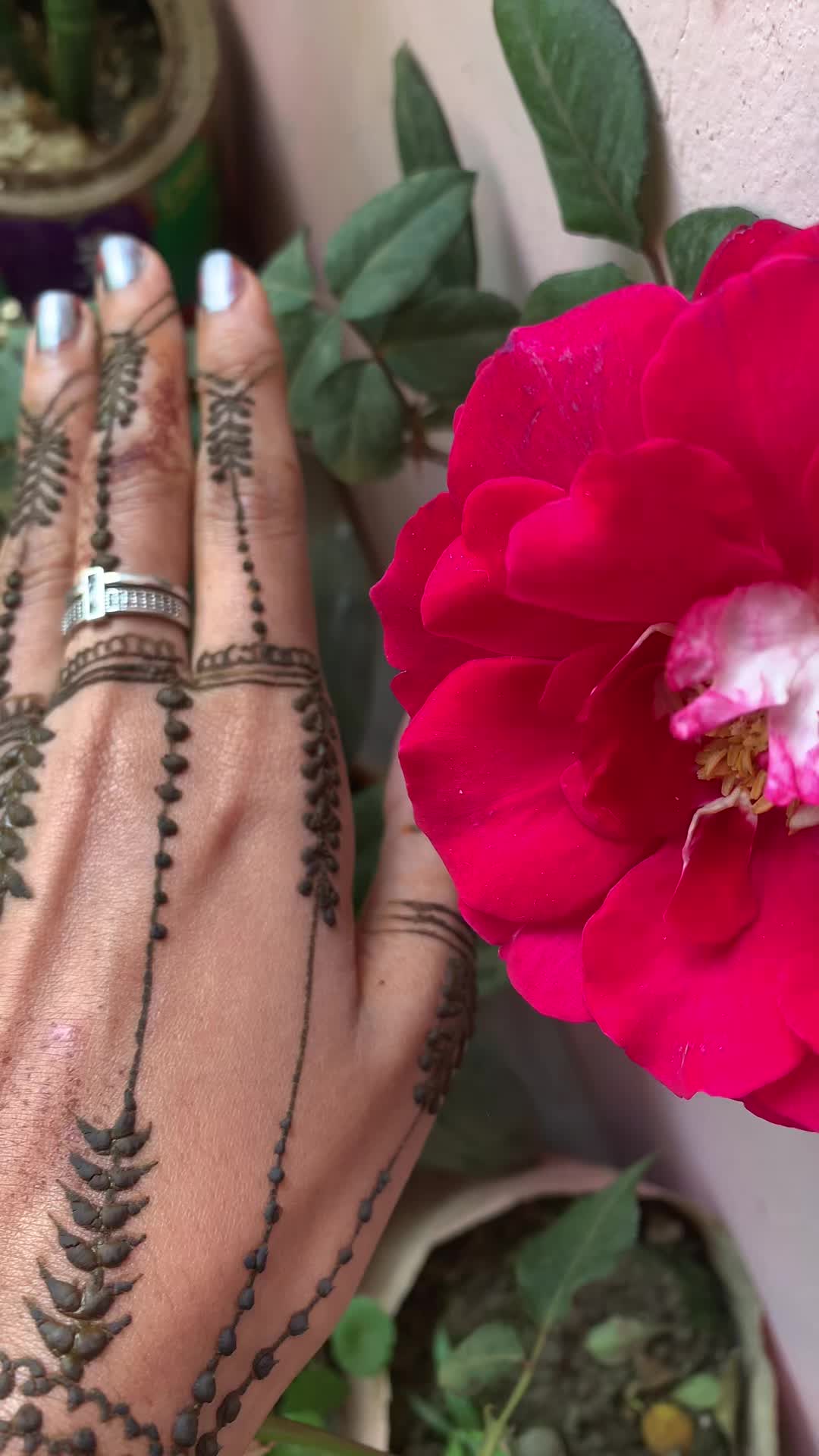 @naima94444