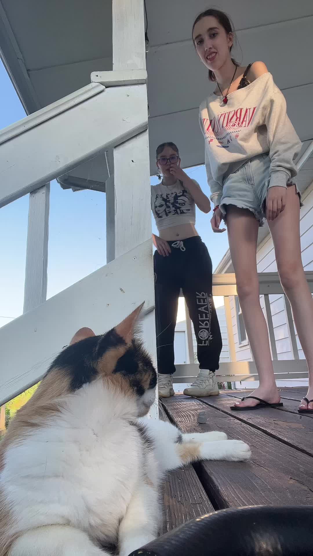 @lashawns gf