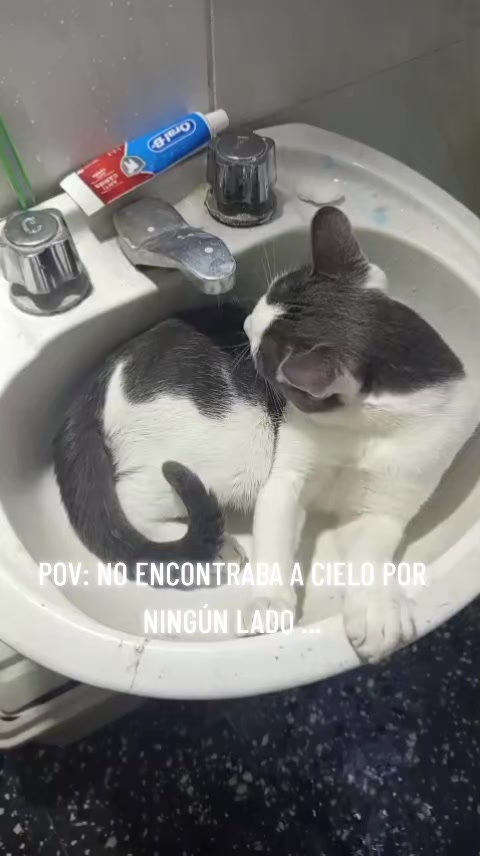 @โ๐ฆ๐๐๐๐ฃ๐12_20๐