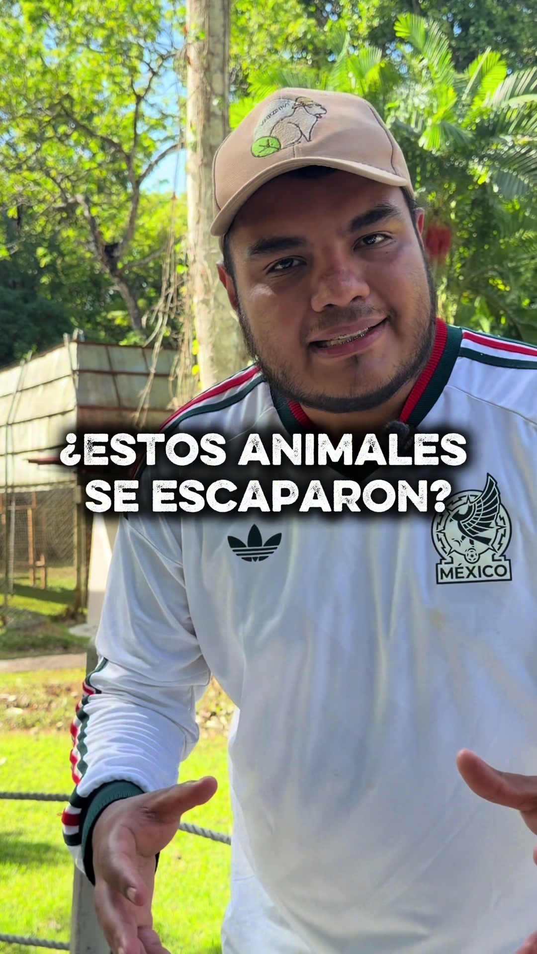 @Jair Herrera 🐆