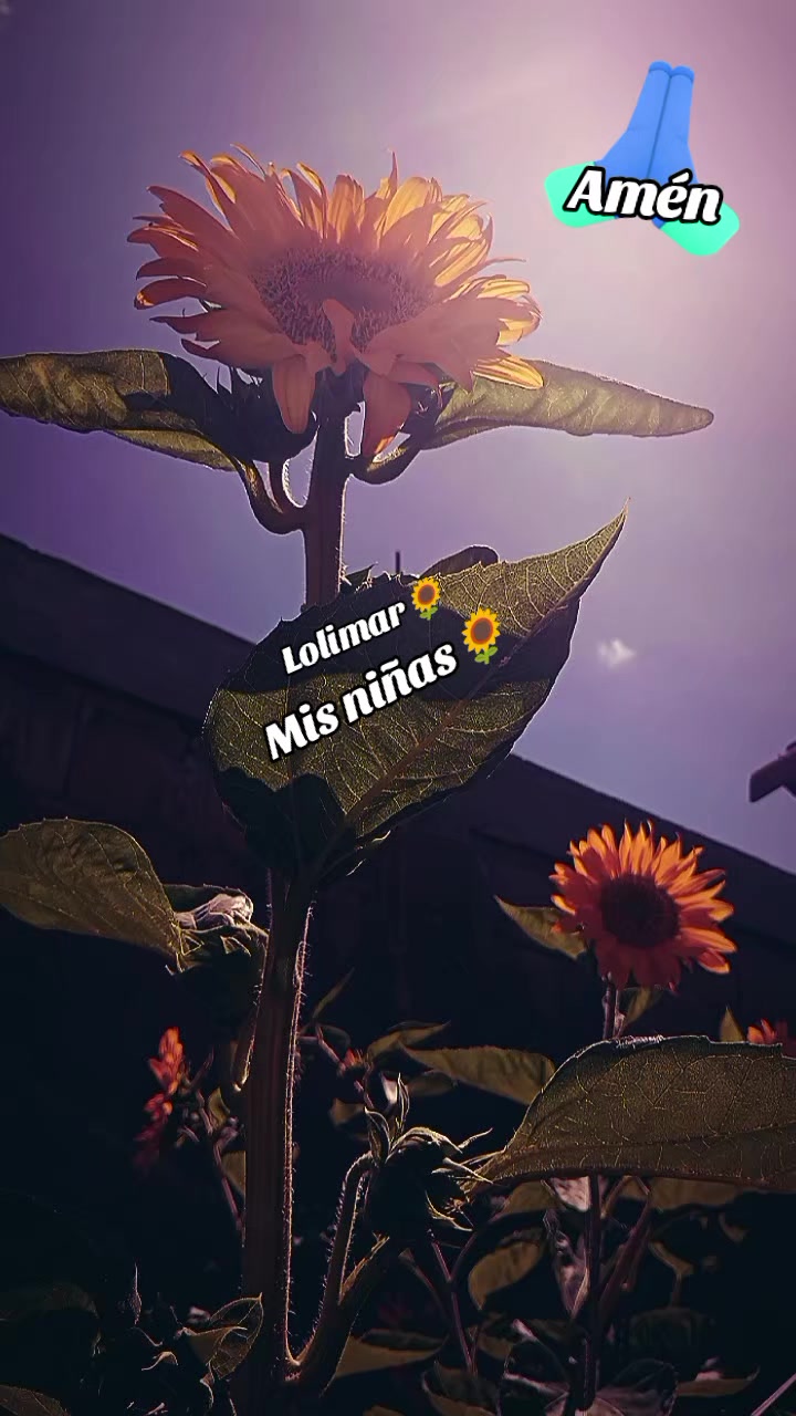 @lolimarbalza🇻🇪🌻