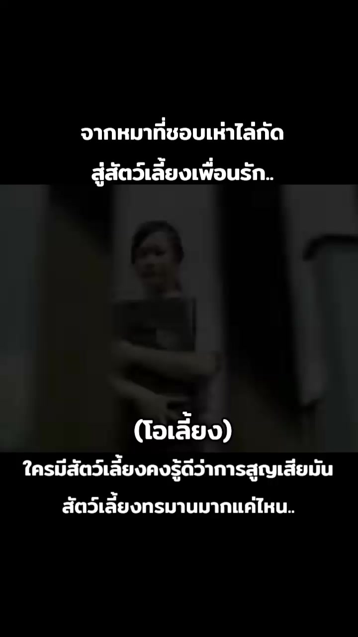 @_ชวนดูหนัง_