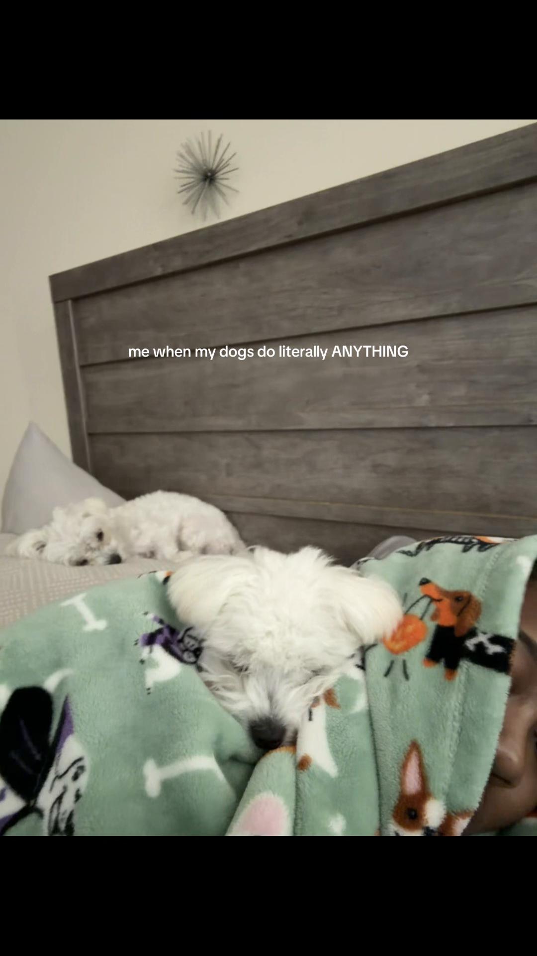 @Jayden