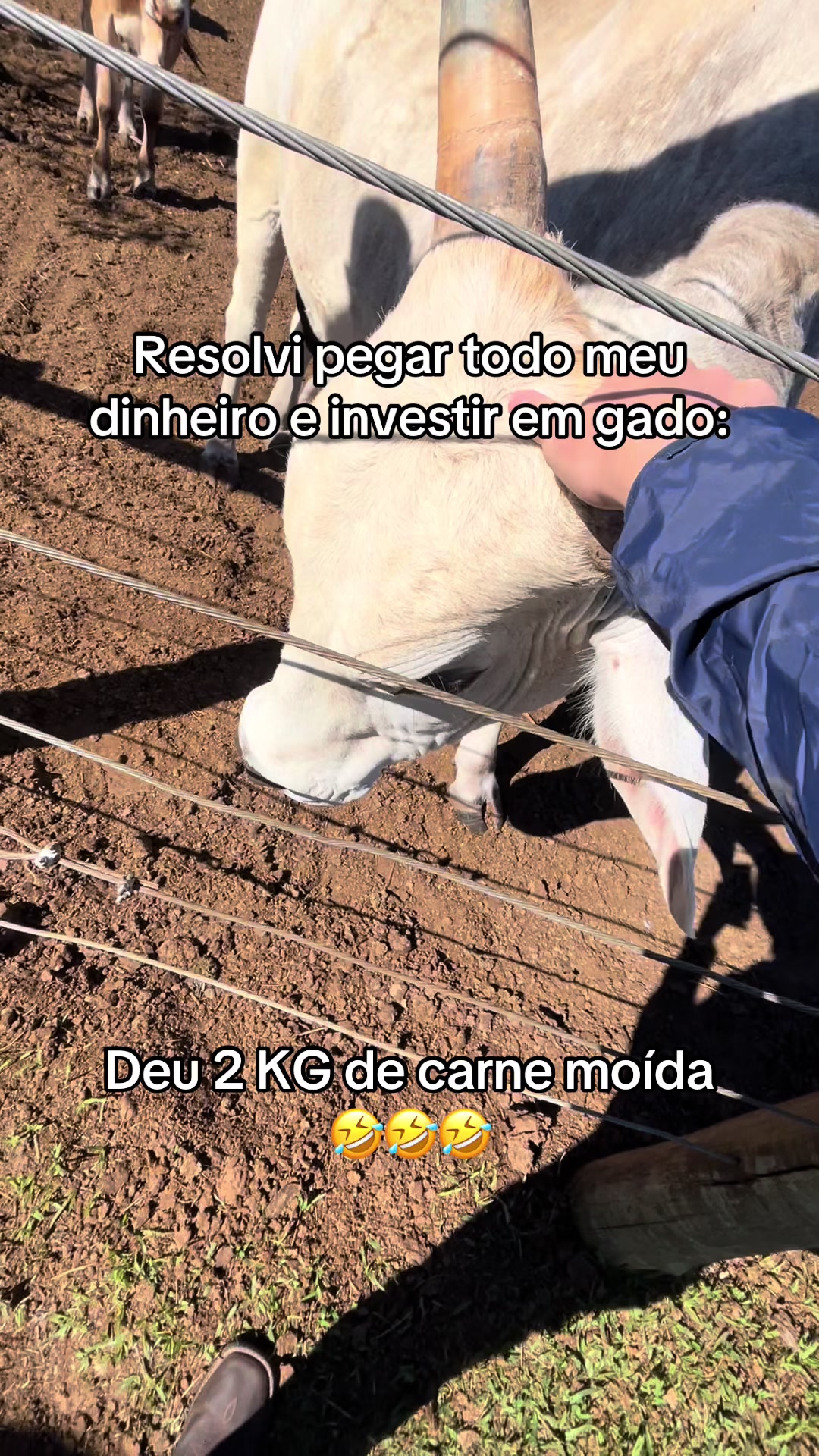 @Nogueiira 🇺🇸🪶