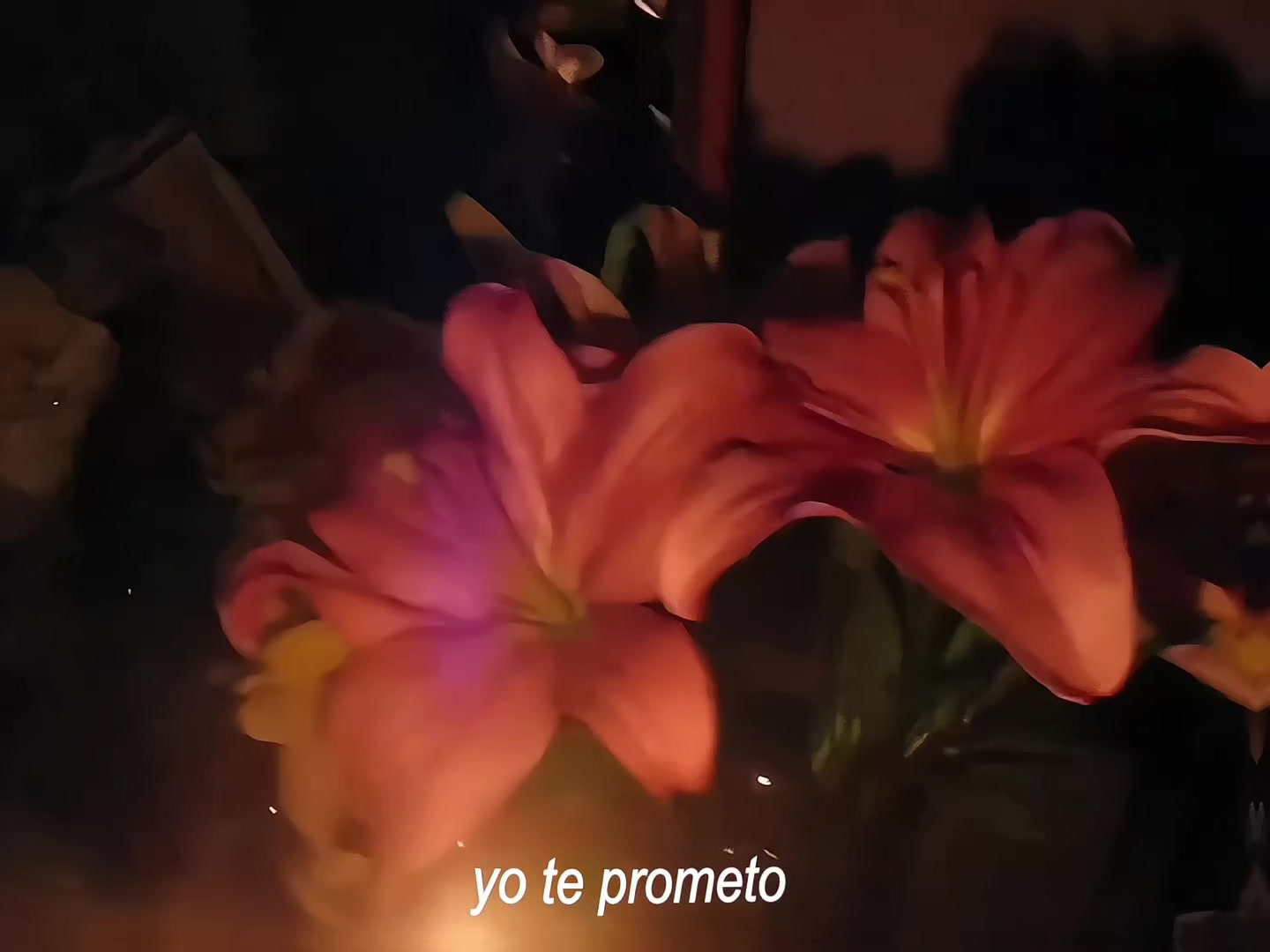 @𝕹𝖎𝖑𝖆_𝖑𝖕