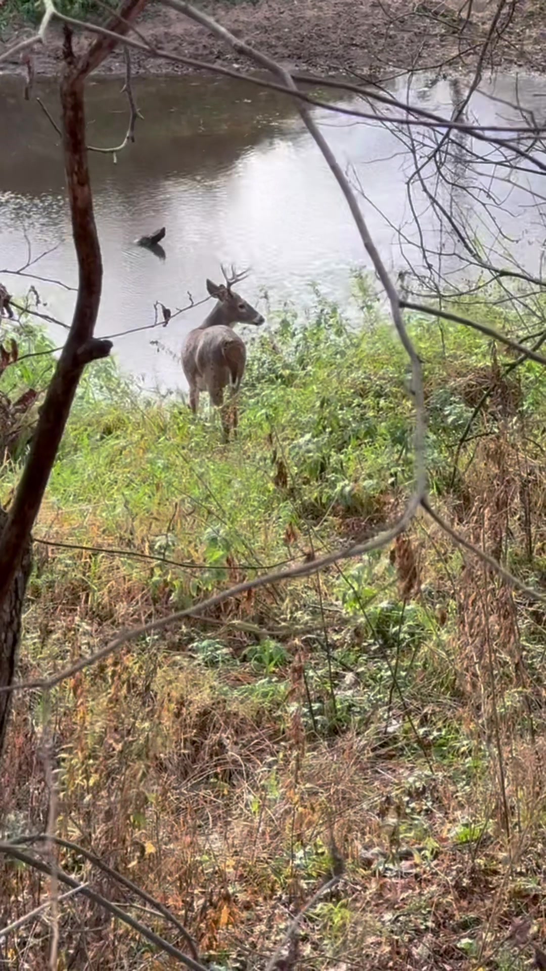 @BowHunterPlanet