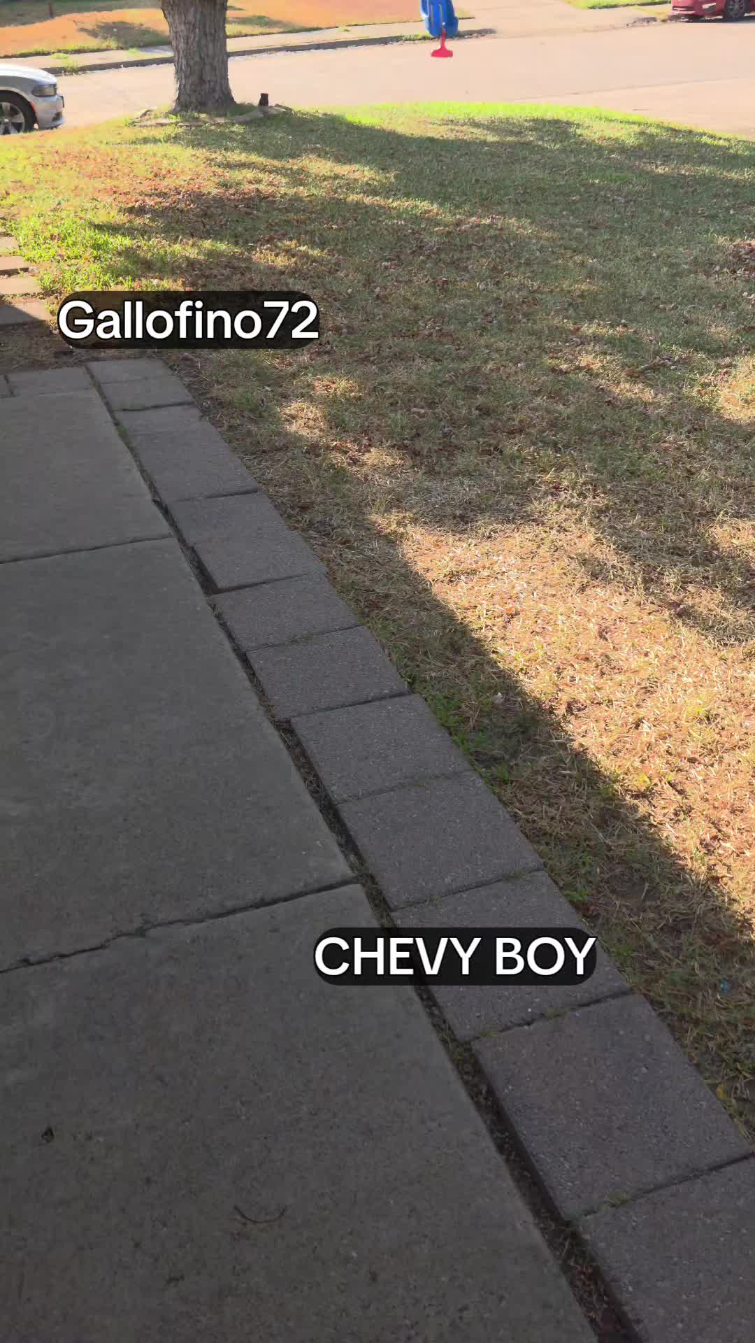 @ElGalloFino