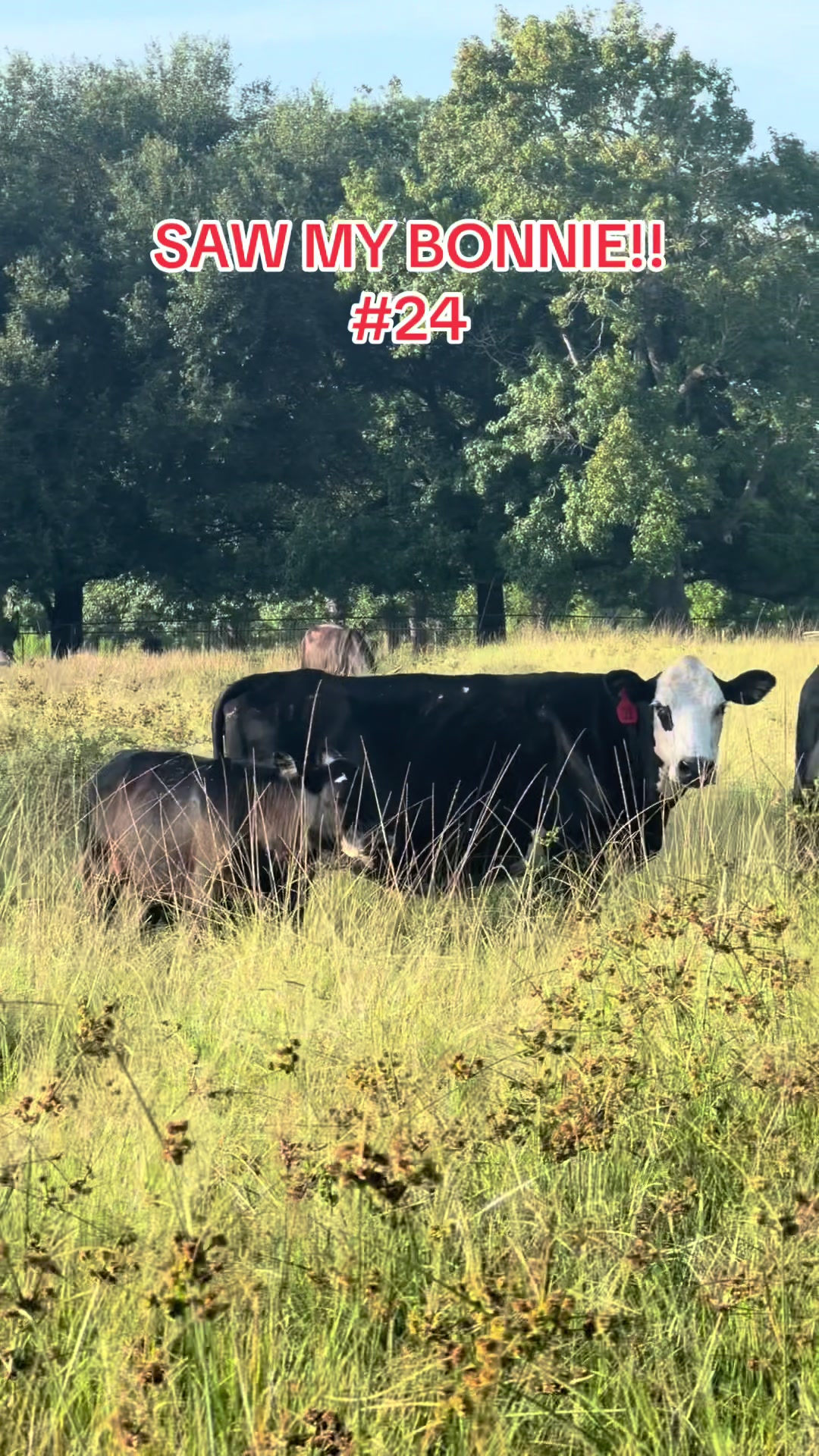 @ER/Trauma RN/Ranching/Farmlife