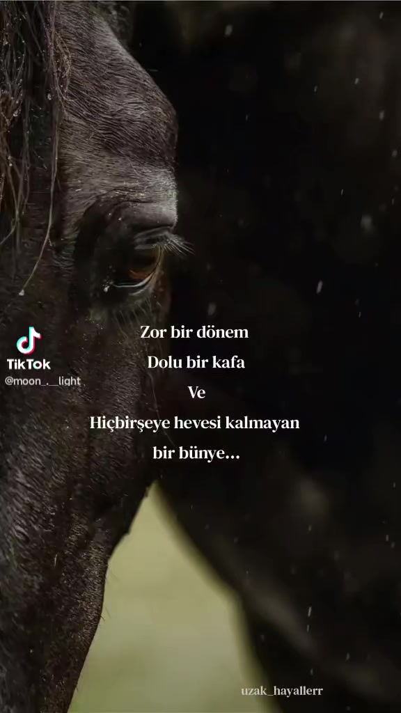 @arap çoçuğu