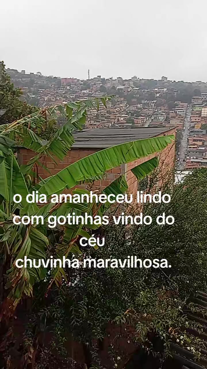 @Aparecida Batista