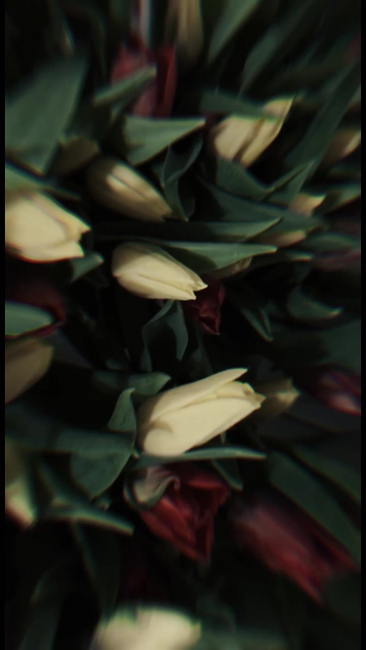 @_dashka__