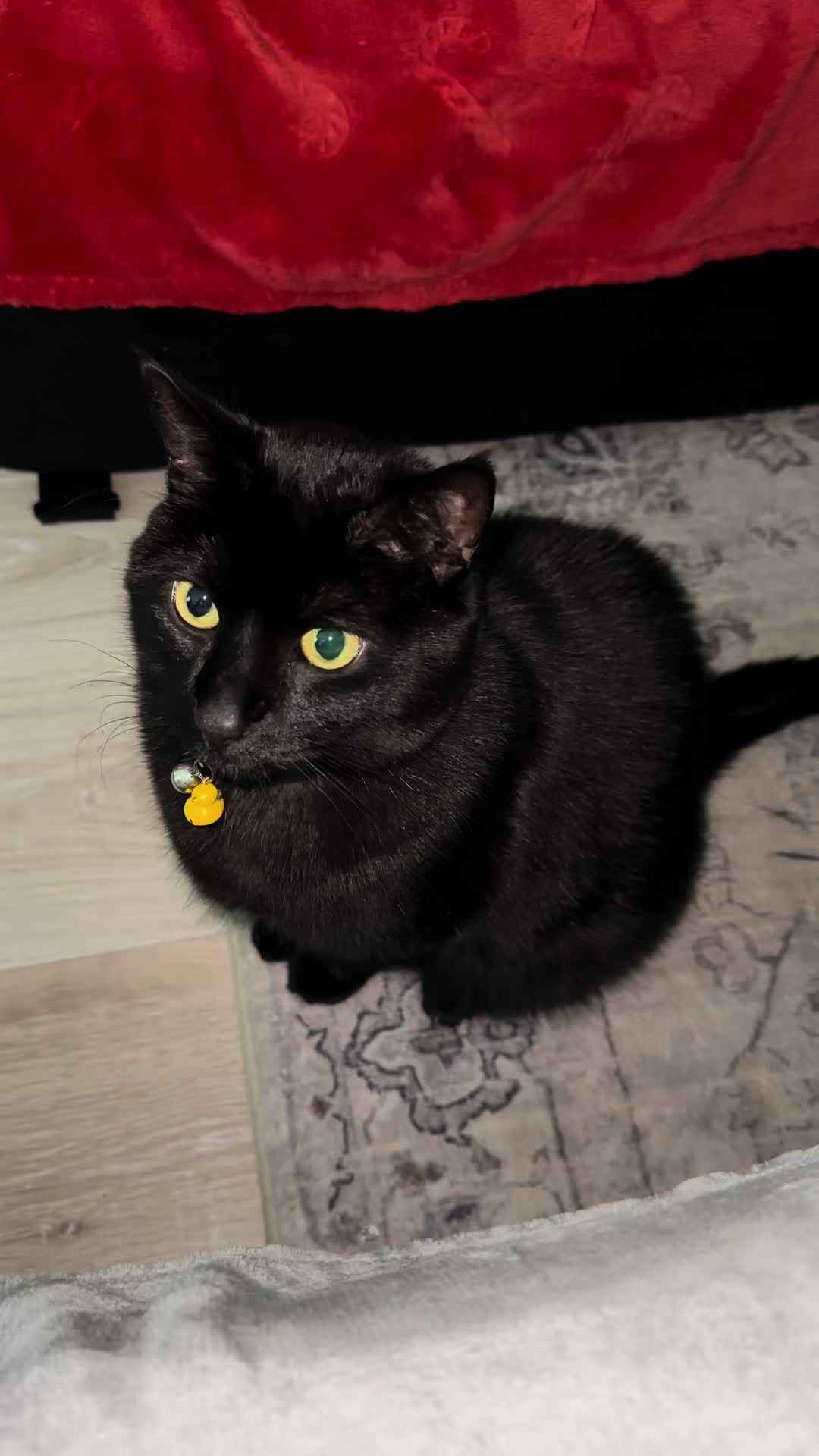 @Tainaa🐈⬛
