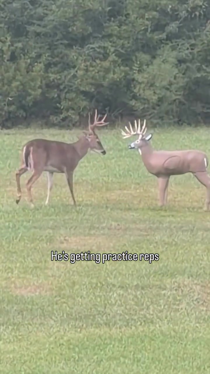 @Buckmasters Outdoors