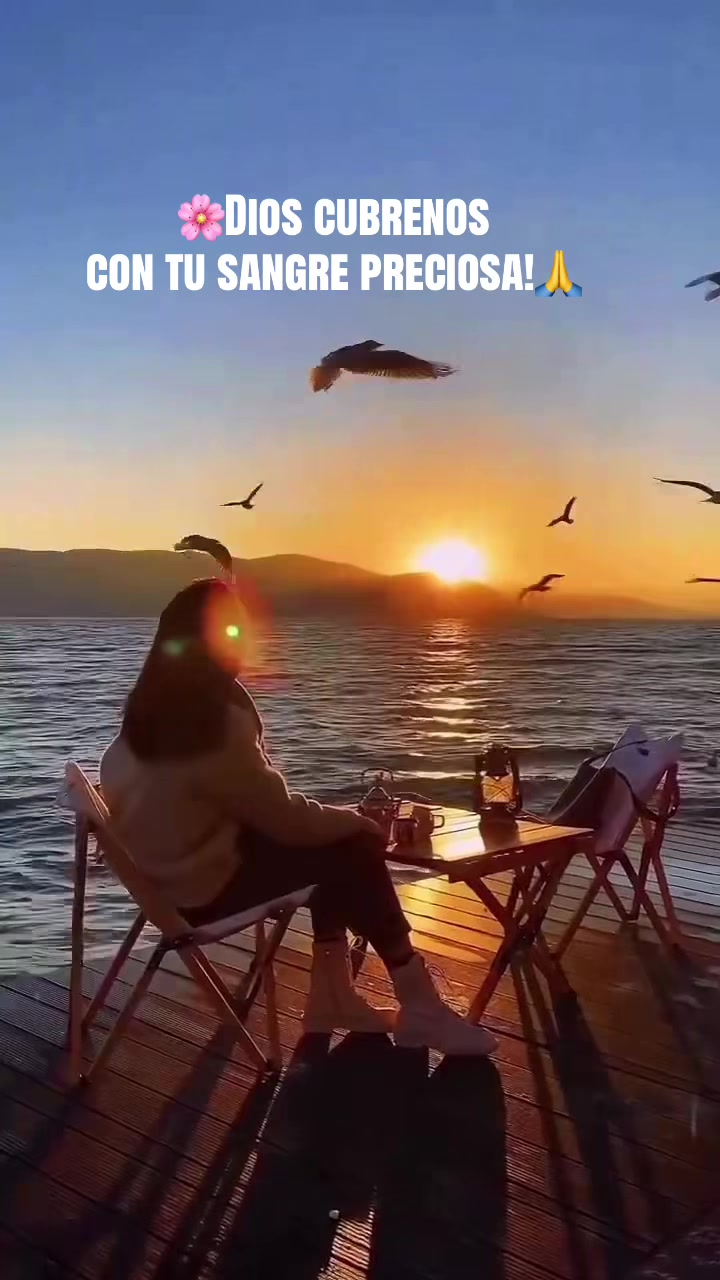 @Mabel Argueta🌻🌙🌞🦉