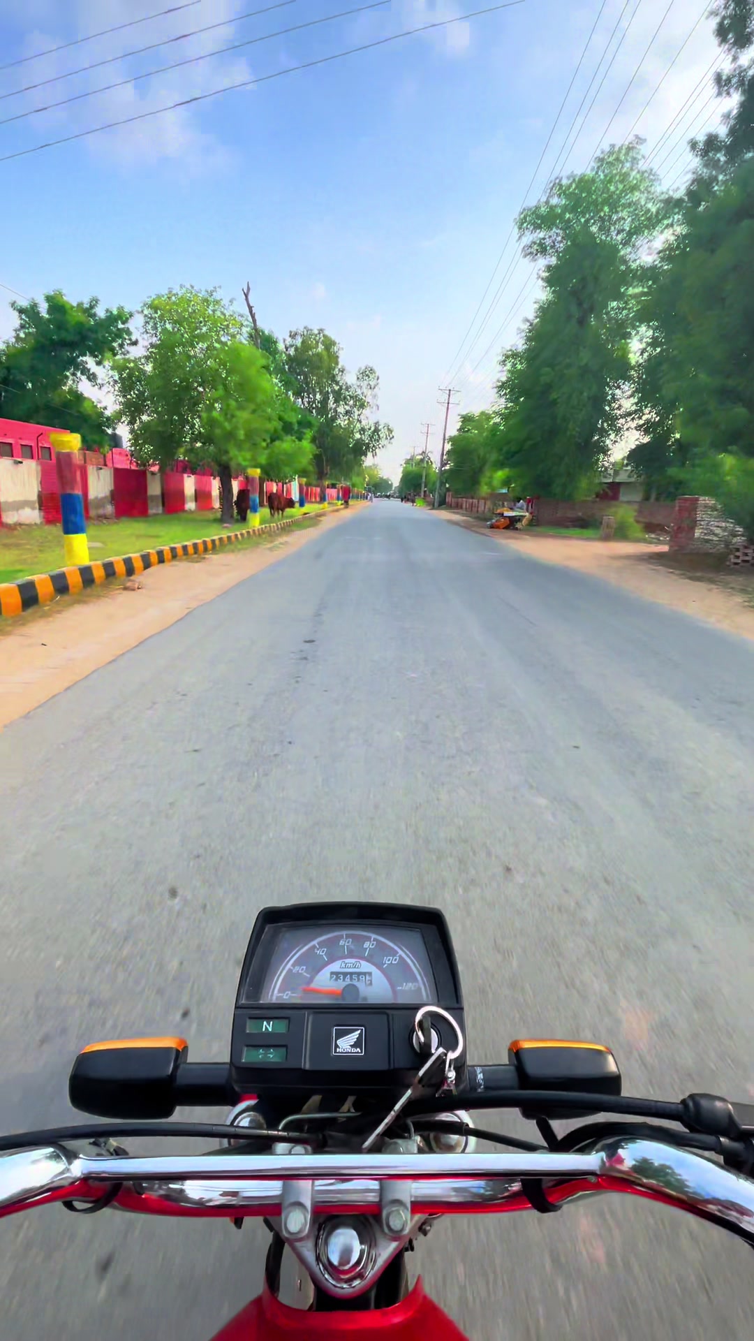 @Visiter of Fortabbas 🌸